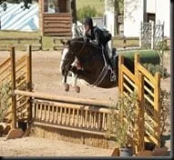 Erin Stiegemeier Walker Horse jumper pic