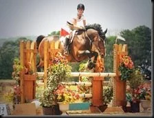 Erin Stiegemeier Walker Horse jumper pictures