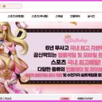 벌스데이-토토-먹튀-검증결과-fabwags